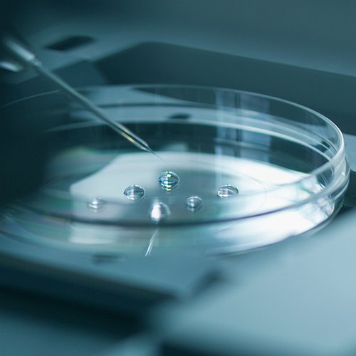 icon_assistertbefruktning